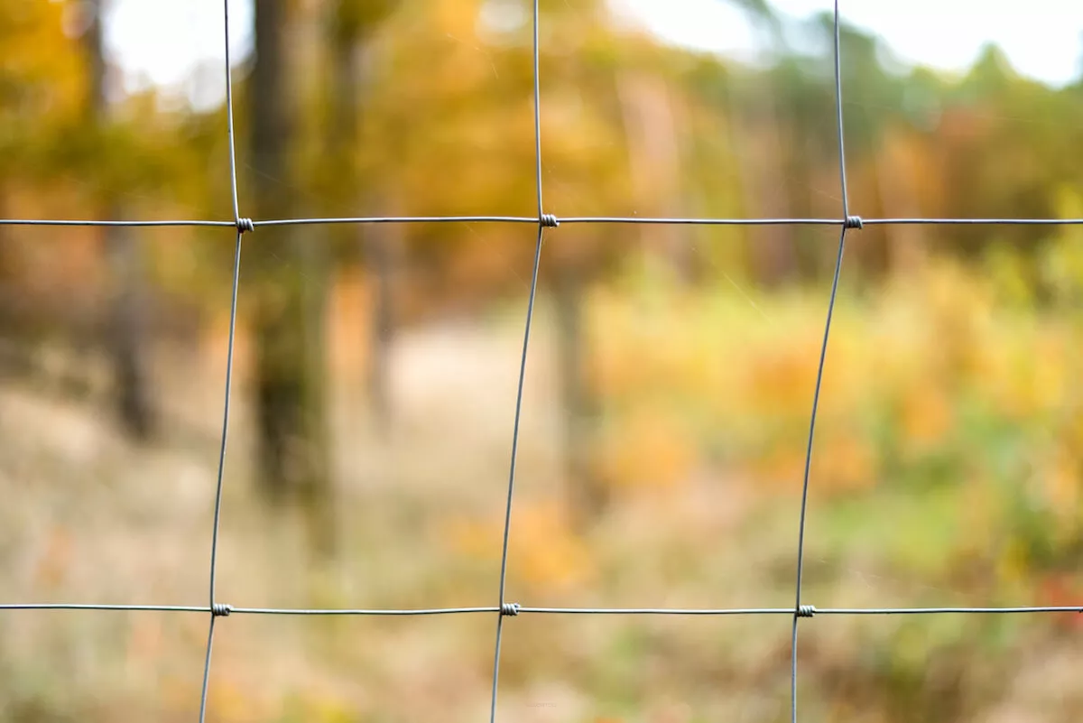 Ceny siatki leśnej, czyli ile kosztuje siatka leśna?